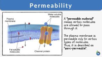 filter fabric permeability|permeability of material.